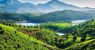Munnar Thekkady Alleppey 4Night – 5 Days