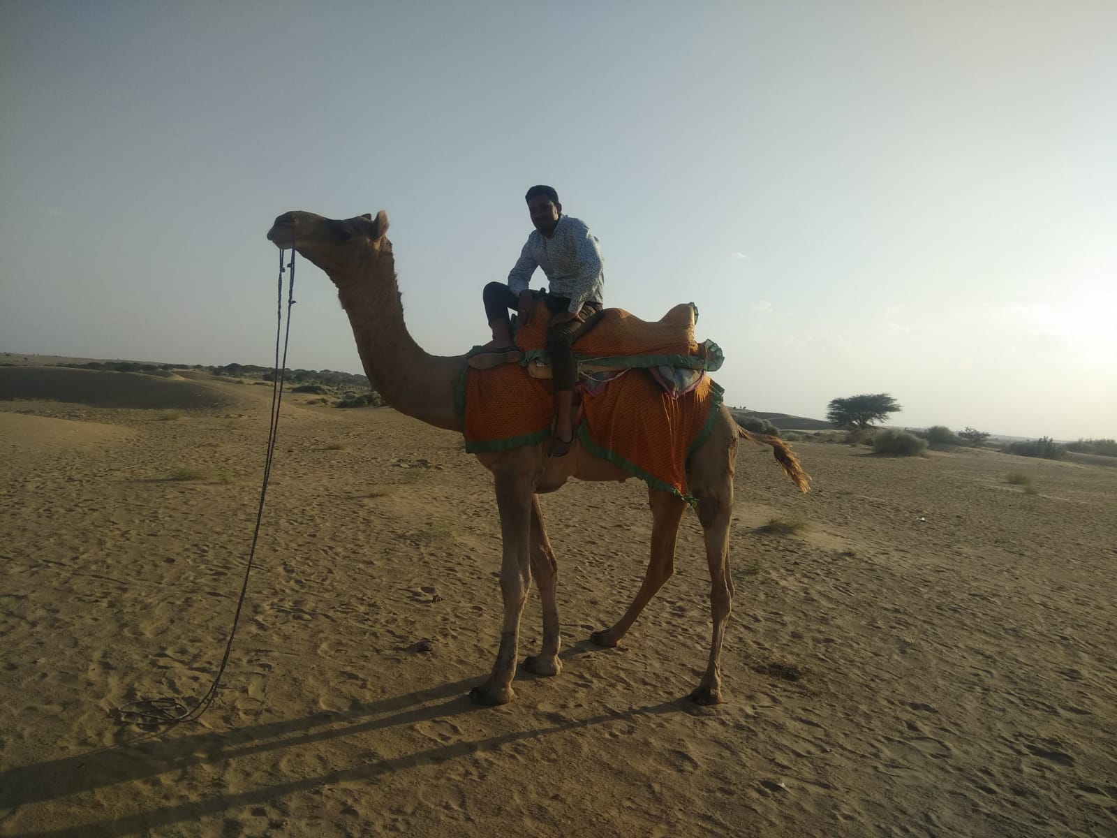 Rajasthan Jodhpur to Jaisalmer Budget Tour Package – 3 Nights / 4 Days