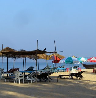 Vibrant Goa